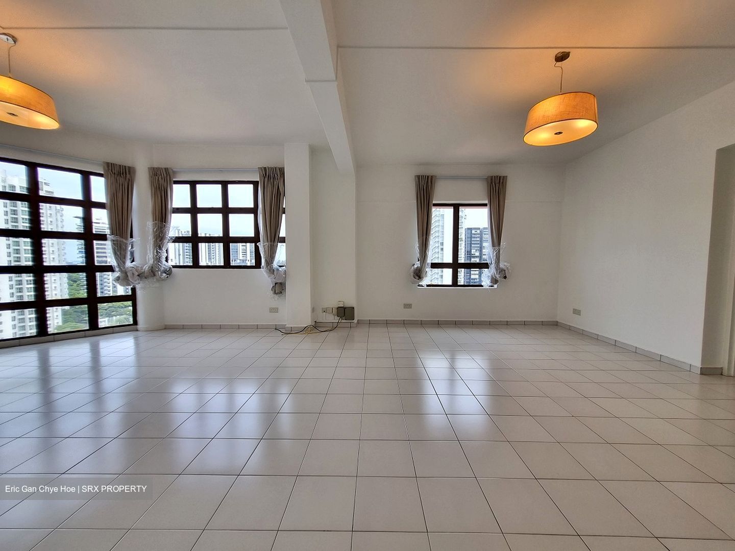 Parkway View (D15), Apartment #461126471